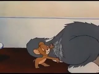 tom and jerry for adults